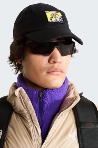 Pet Norm Hat