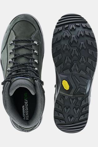 Wandelschoenen Renegade Evo Gore-tex