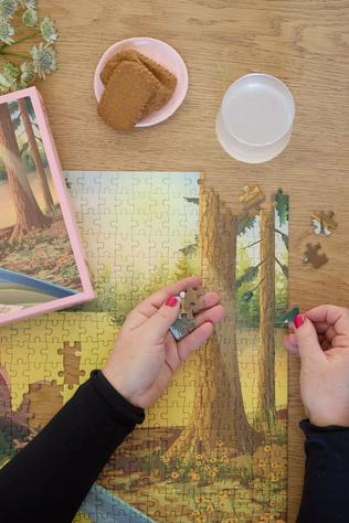 Jouets Hiking & Me - Puzzle 500 Pcs
