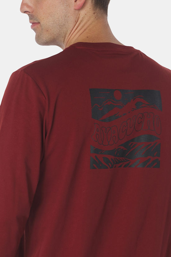 Ayacucho T-Shirt Hillside Organic Ls M Fired Brick