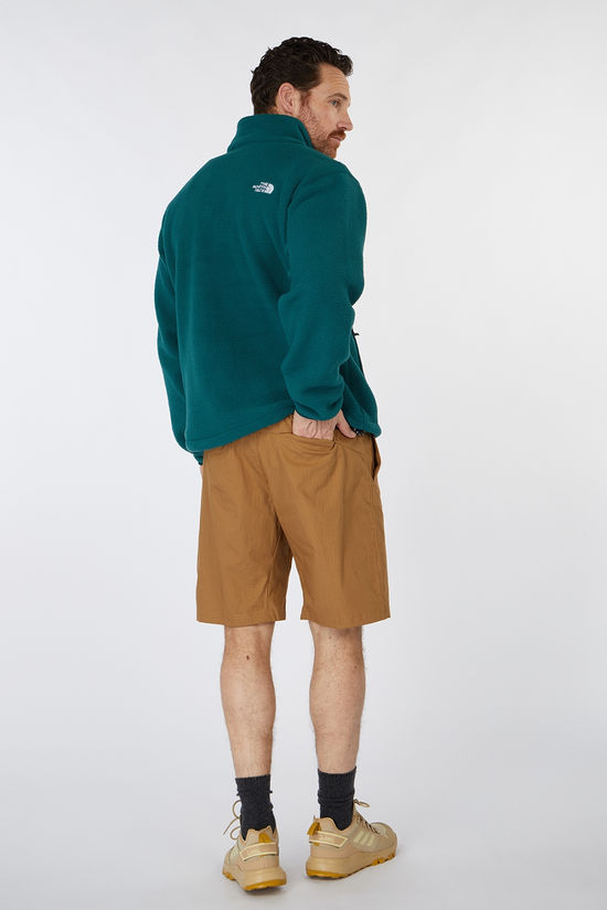 The North Face Short M Limestone Short Utility Brown