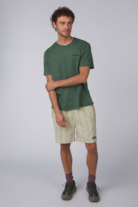 Patagonia T-Shirt M'S P-6 Logo T-Shirt Canopy Green