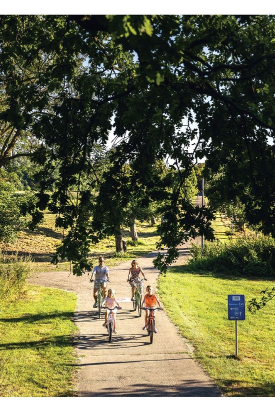 Lannoo Livre Vlaanderen Fietsen Met Het Hele Gezin Knooppunter 2025