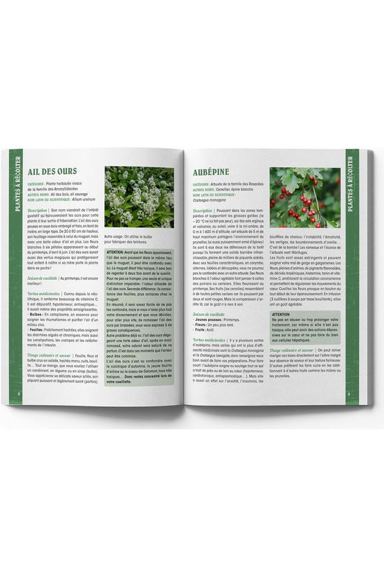 Outdoor Boek Guide Du Baroudeur Se Nourrir En Pleine Nature 2026