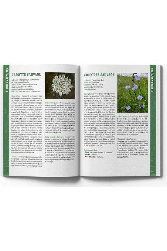 Outdoor Boek Guide Du Baroudeur Se Nourrir En Pleine Nature 2026