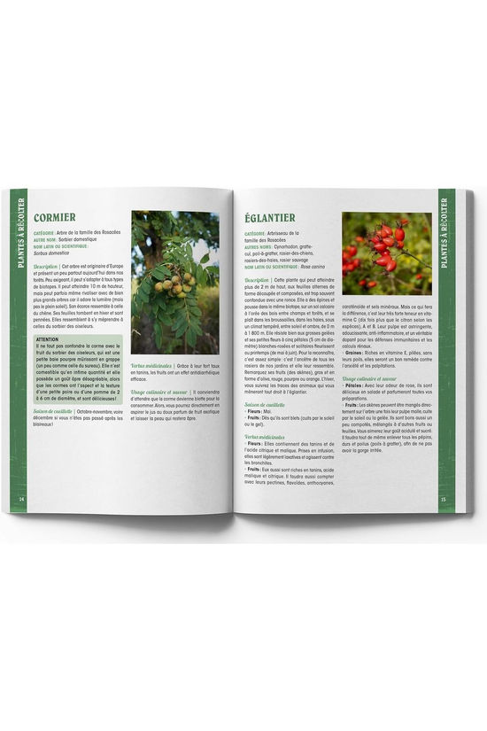 Outdoor Boek Guide Du Baroudeur Se Nourrir En Pleine Nature 2026
