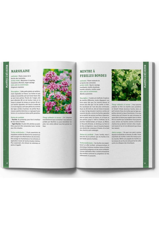 Outdoor Boek Guide Du Baroudeur Se Nourrir En Pleine Nature 2026