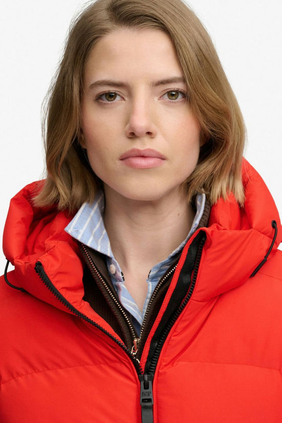 Superdry Donsjas Hooded Sports Apple Red