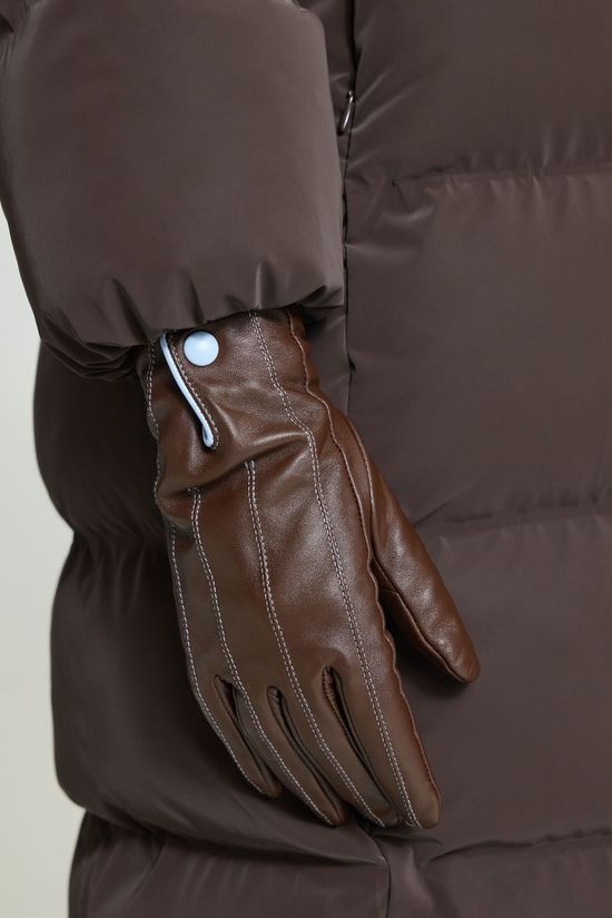 Ichi Gants Iamascha Chicory Coffee