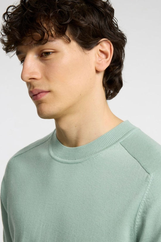 Selected T-Shirt Tray Iceberg Green