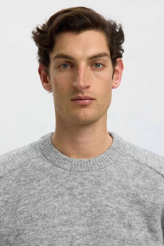 Selected Trui rai Crew Light Grey Melange