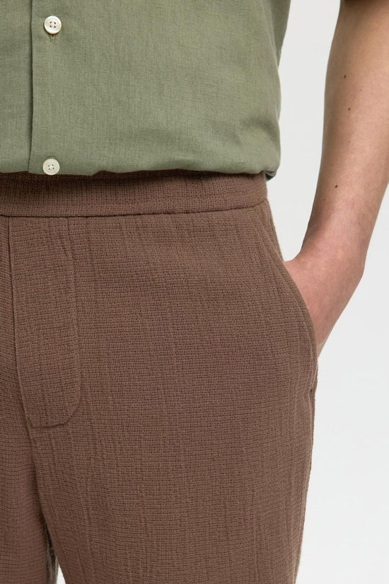 Selected Short Regcal Chocolate Chip