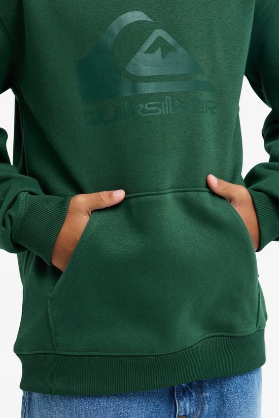 Quiksilver Pull Comp Logo Hoodie Youth Forest