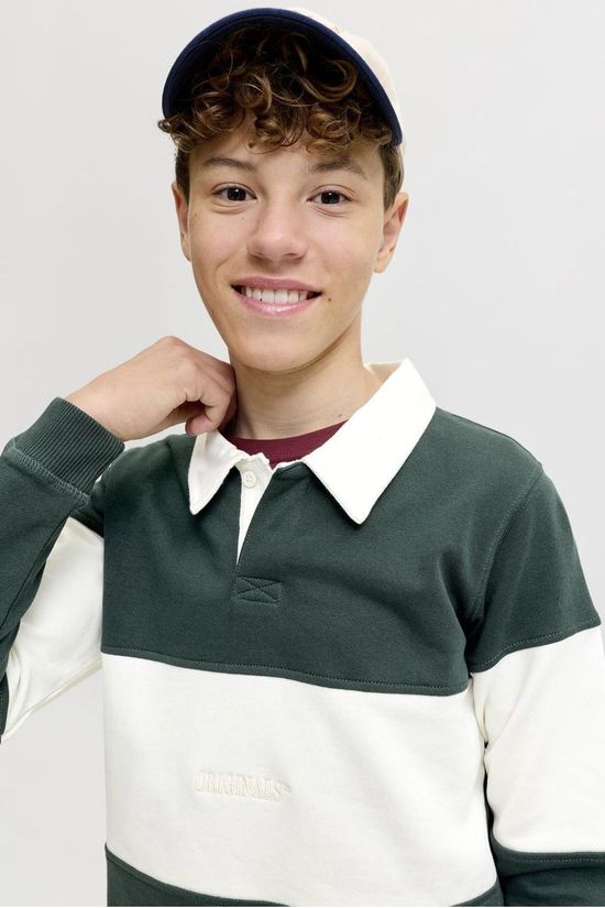 Jack & Jones Trui Frederiksberg Blocking Sweat Polo Jnr Pine Grove