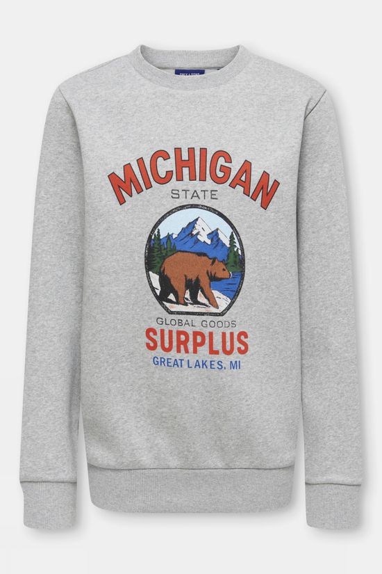 Only&Sons Pull Osjceres Montana Reg Ls Crew Neck Light Grey Melange Surplus