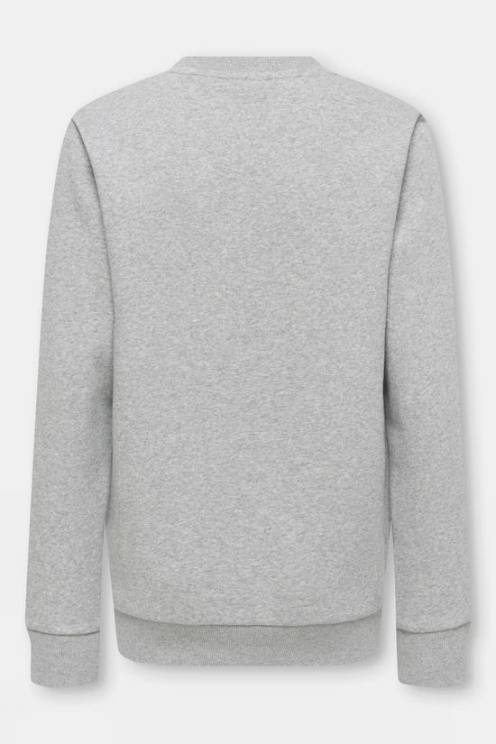 Only&Sons Pull Osjceres Montana Reg Ls Crew Neck Light Grey Melange Surplus