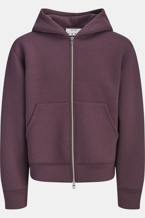 Jack & Jones Cardigan Jcolegacy Sweat Scuba Zip Hood Sn Jnr Fudge