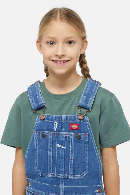 Dickies Pantalon Denim Bib Overall K Indigo Indigo