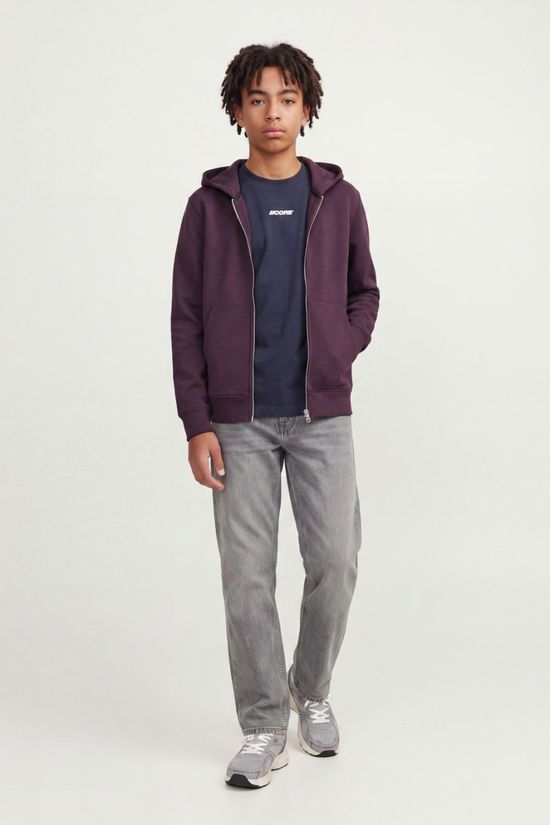 Jack & Jones Jeans Jpstalex Antonio Original Pant Jnr Silver Pine