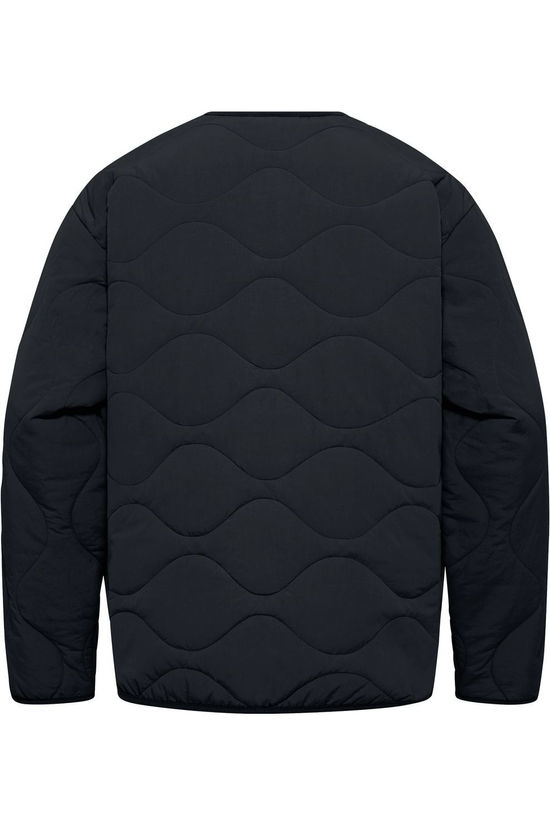 Jack Wolfskin Veste Wandersome Ins Jkt W black