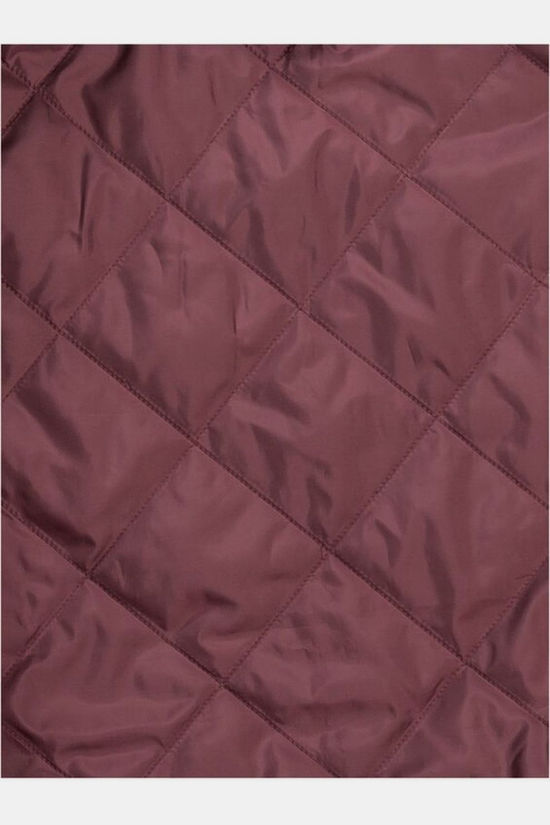 Jack Wolfskin Overhemd Van View Shirt W Boysenberry 41