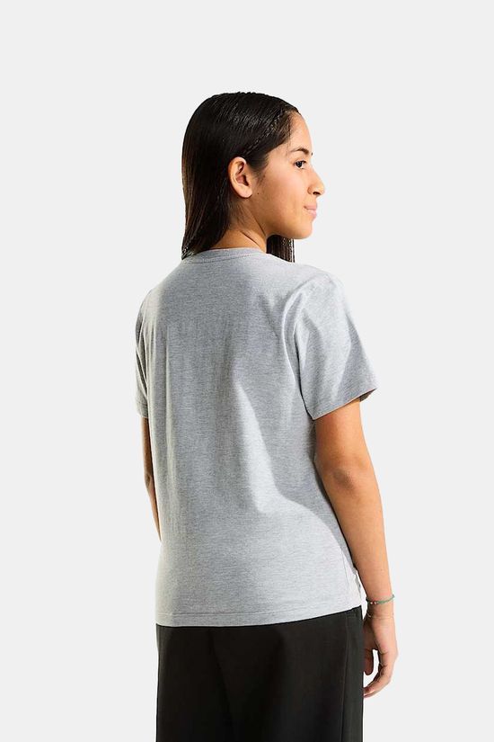 The North Face T-Shirt Teen Evolution Simple Dome S/S Tee Tnf Pale Grey Heather