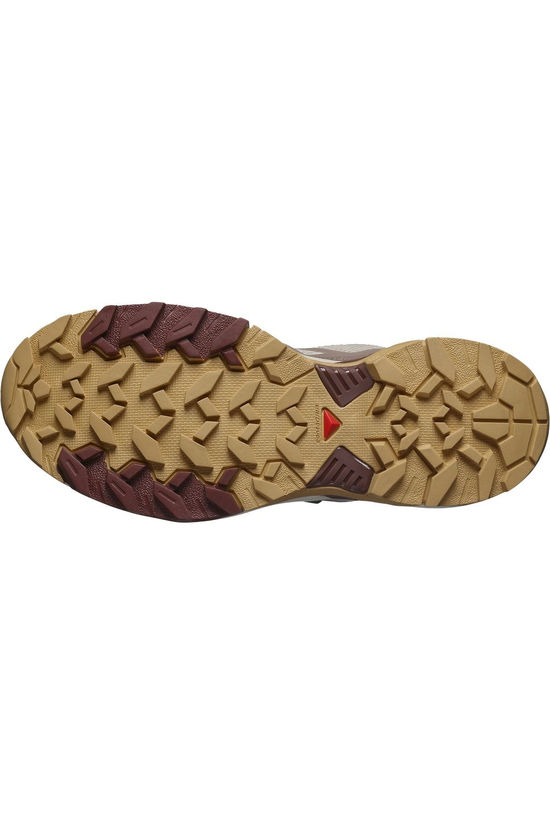 Salomon Chaussures De Randonnée X Ultra 360 Edge Gore-Tex Silver Cloud / Iron / Rum Raisin