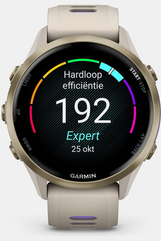 Garmin Montre De Sport Forerunner 970 French Gray/Indigo