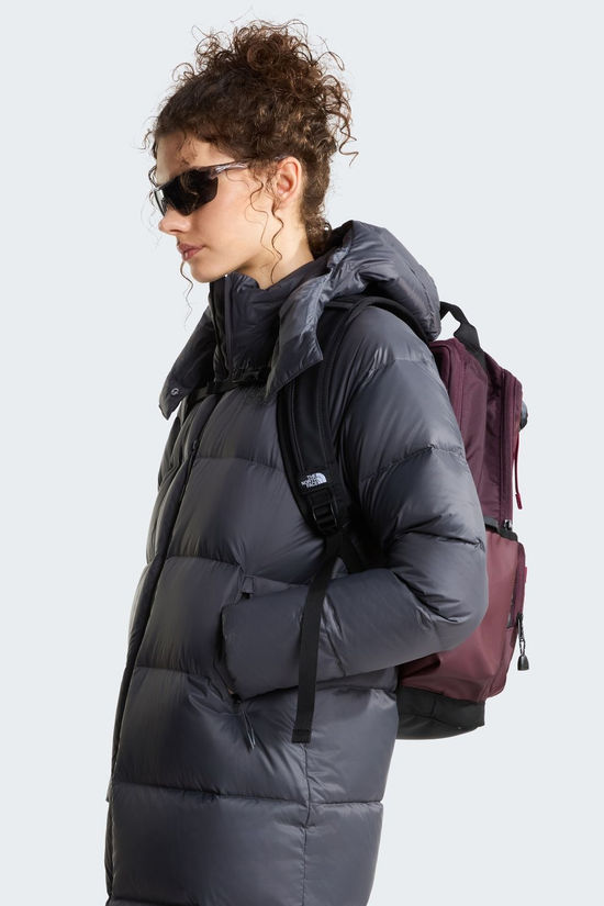 The North Face Sac À Dos Base Camp 22L Deep Burgundy/Tnf Black