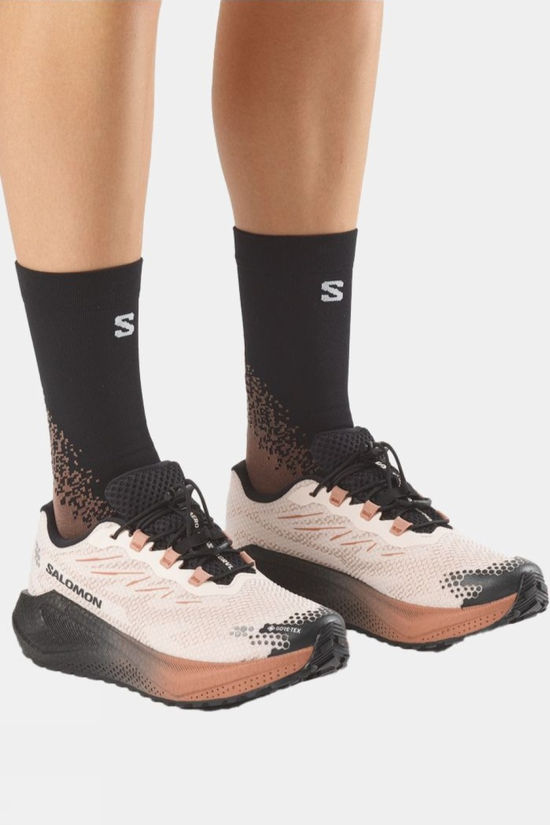 Salomon Trailschoenen Aero Blaze 4 Grvl Gore-Tex Vanilla Ice/Black/Burro