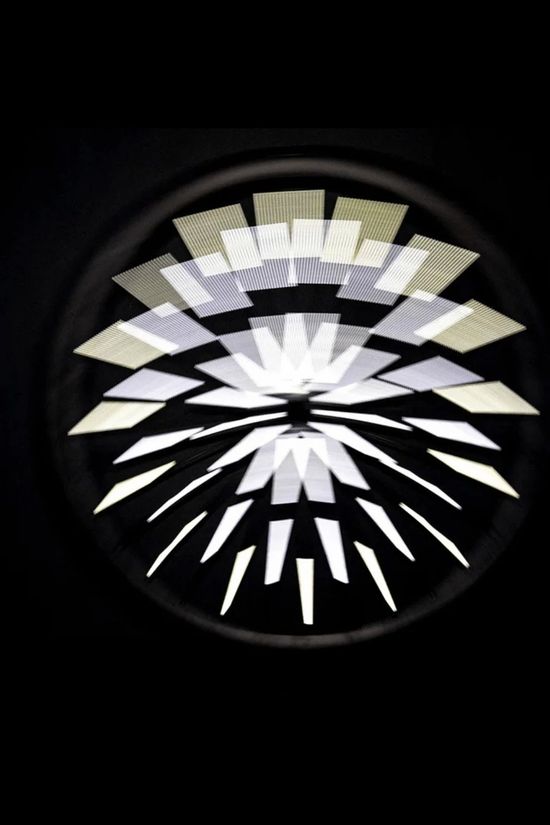 Rainette Reflectors Or