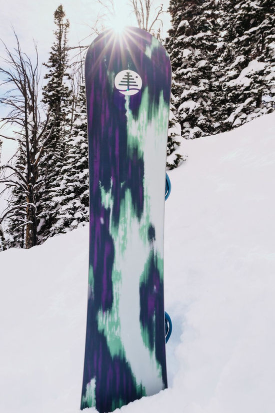 Burton Snowboard Family Tree Alekesam No Colour