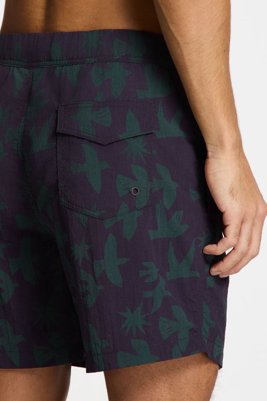 Shiwi Zwemshort Nick Quick Dry 6 Inch Birds Purple Rock Graphic Birds
