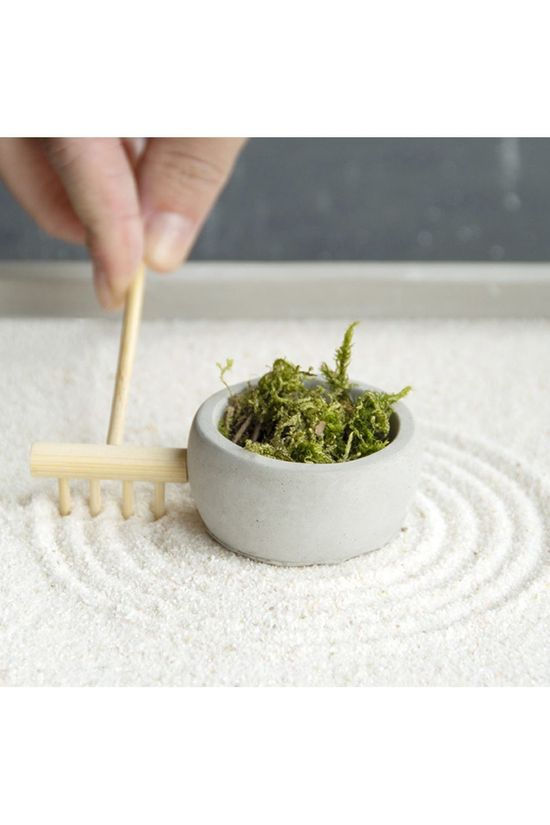 Esschert Accessoires De Jardin Essch Mini Zen Garden Geen