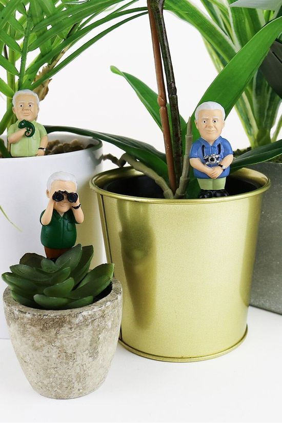 Gift Republic Accessoire De Maison Mini Plant Pot Attenborough Explorers No Colour