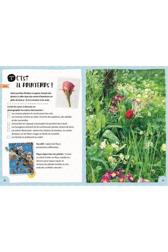 Outdoor 60 Jeux Activités Et Aventures Dans La Nature 2020