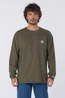 Carhartt T-Shirt Carhartt Force™ Relaxed Ls T-Shirt Basil Heather