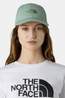 The North Face Pet Recycled 66 Classic Slate Moss
