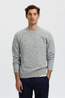 Selected Trui rai Crew Light Grey Melange