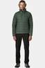 Patagonia Donsjas Down Sweater Treeline Green