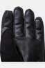 Trekmates Gants Matterhorn Gtx Glove Black