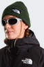 The North Face Bonnet Tnf Logo Box Cuffed Beanie Bottle Green