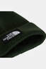 The North Face Bonnet Tnf Logo Box Cuffed Beanie Bottle Green