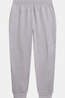 The North Face Pantalon De Survêtement M Tnf Performance Fleece Sw Pant Tnf Pale Grey Heather