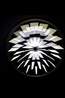 Rainette Reflectors Or