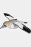 Eugy Jouets Toy Eug 3D Model Vogel / Jan-Van-Gent No colour