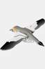 Eugy Jouets Toy Eug 3D Model Vogel / Jan-Van-Gent No colour