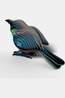 Eugy Jouets Toy Eug 3D Model Vogel / Koko Toei No colour