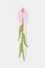 Designwork Ink Accessoire De Bureau Framed Floral Bookmark - Coneflower Assorted / Mixed
